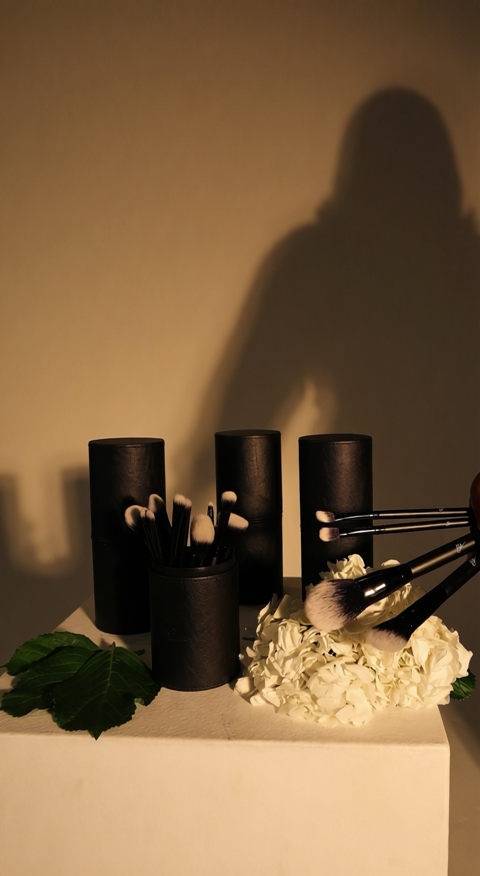 BBS Beauty LUX Pro Brush Kit